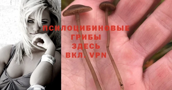 COCAINE Алексеевка