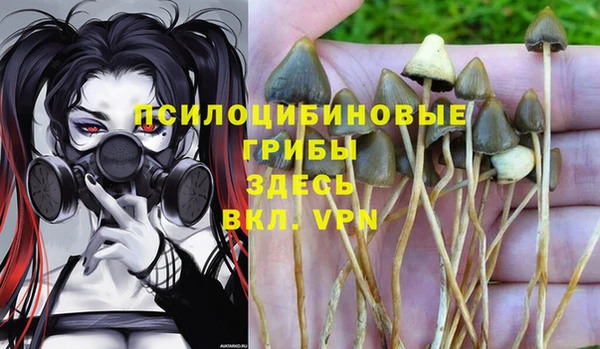 прущий лед Арсеньев
