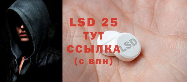 PSILOCYBIN Алзамай