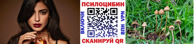 Галлюциногенные грибы прущие грибы  blacksprut маркетплейс  Усть-Джегута  цены наркотик 